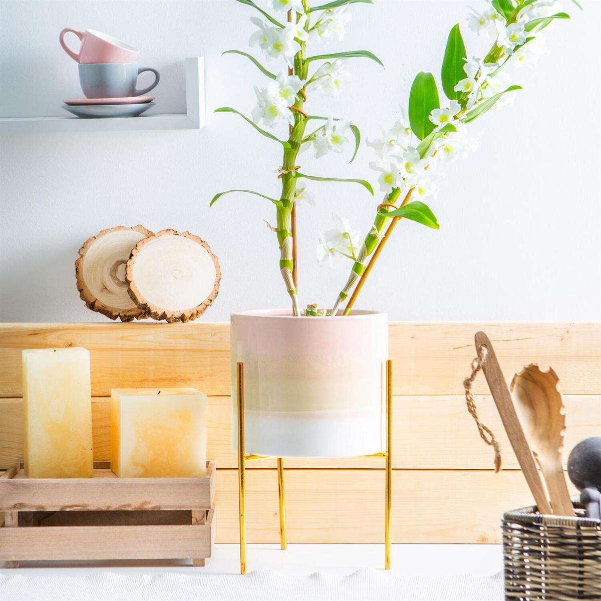 19cm Reactive Glaze Plant Pot on Stand NaturalGold - Natural/Gold – image 6