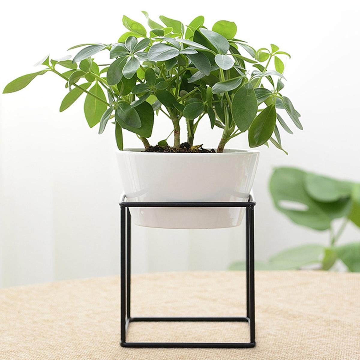Ceramic Succulent Flower Plant Pot Display - Black