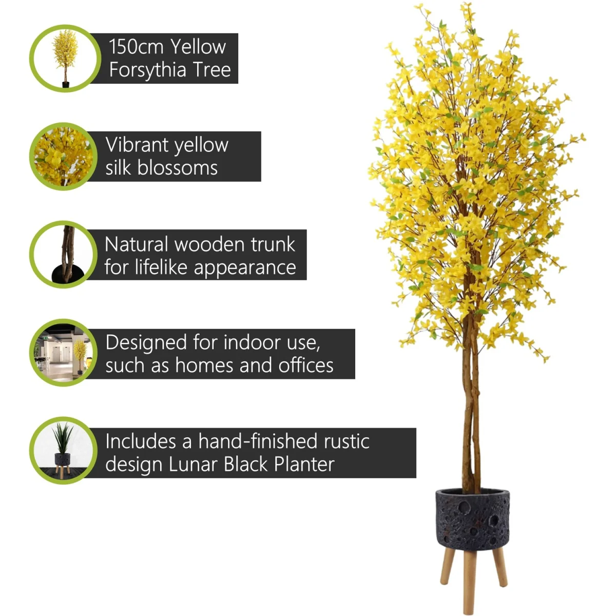 Pegdev 150cm Forsythia Tree with Lunar Black Planter - Yellow – image 3
