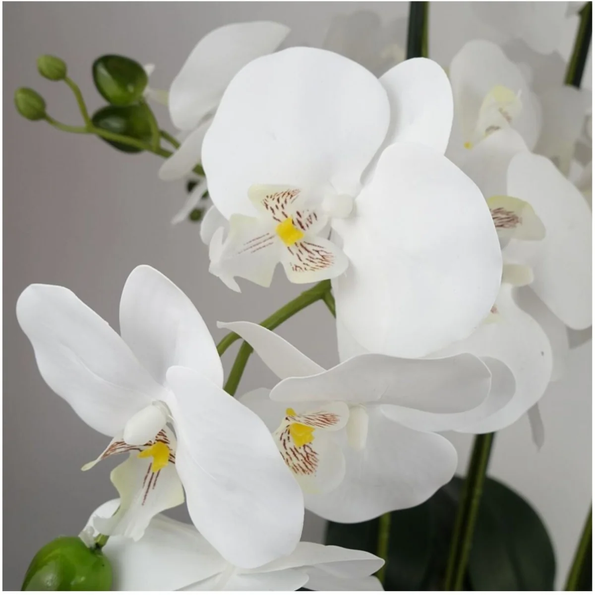 50cm Artificial Orchid with White Glass Planter - White – image 2