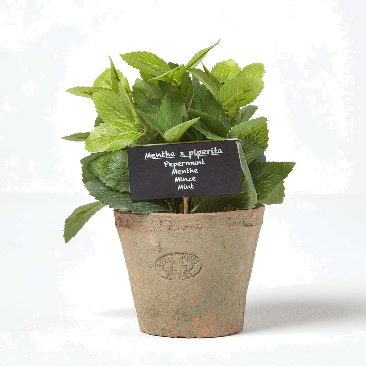 Artificial Mint Plant in Decorative Pot - Terracotta – image 1