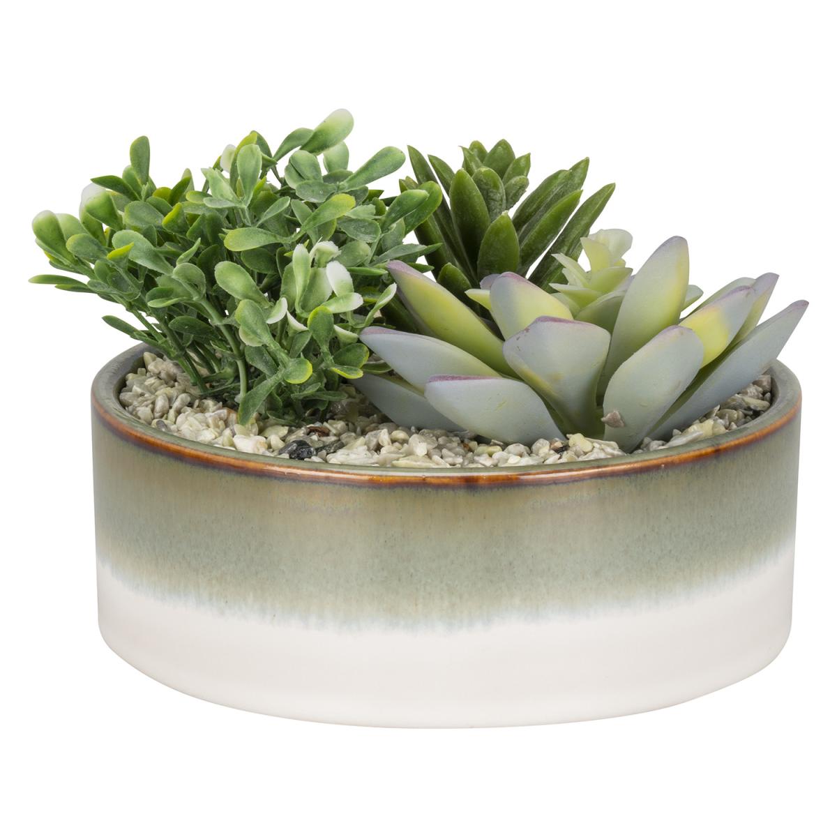Succulent Planter – image 2