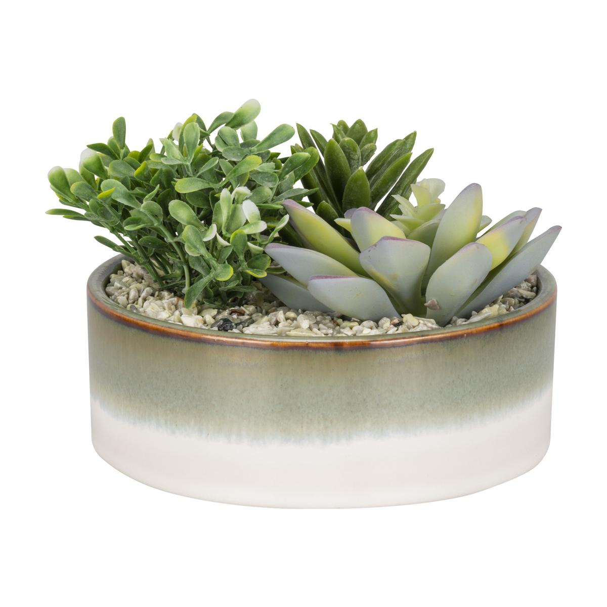 Succulent Planter – image 1