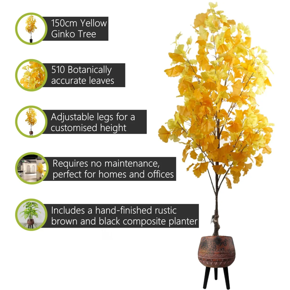 Pegdev Ginkgo Tree with Rustic Brown Planter 150cm - Yellow – image 3