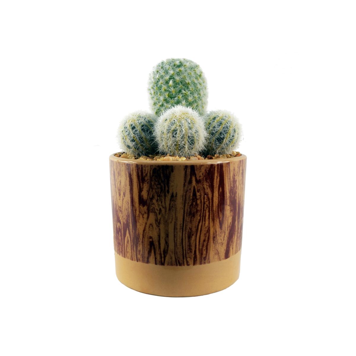 20cm Artificial Cactus Arrangement in Ceramic Planter - Brown Print