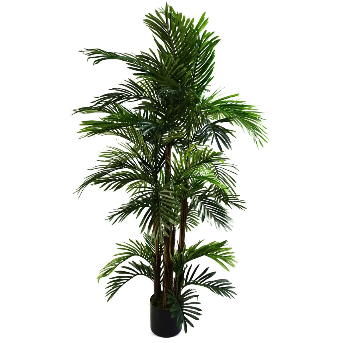 Areca Palm Artificial Tree 150cm  - Realistic plant by Botanik - 150cm Palm Areca Natural – image 2