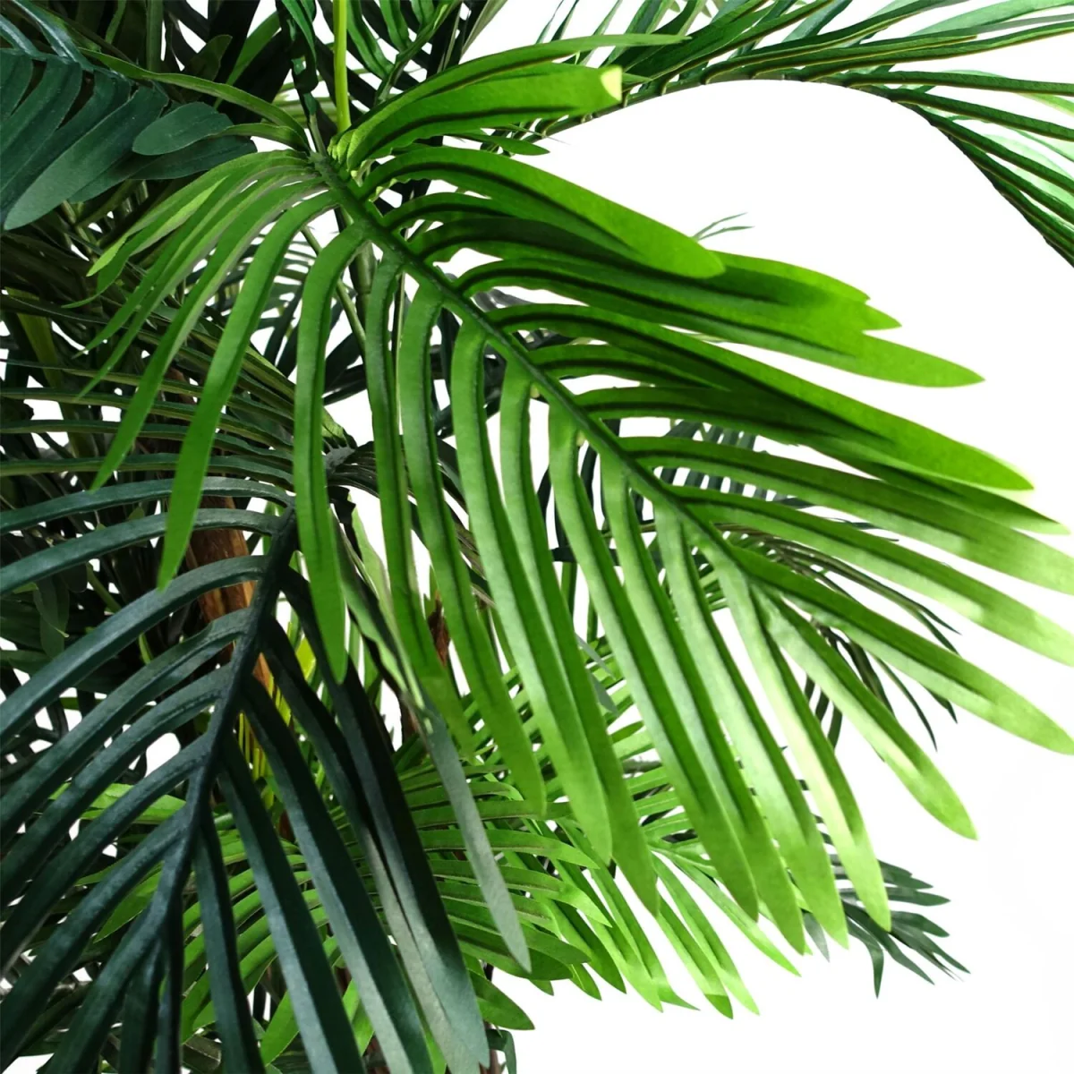 Areca Palm Artificial Tree 150cm  - Realistic plant by Botanik - 150cm Palm Areca Natural – image 7