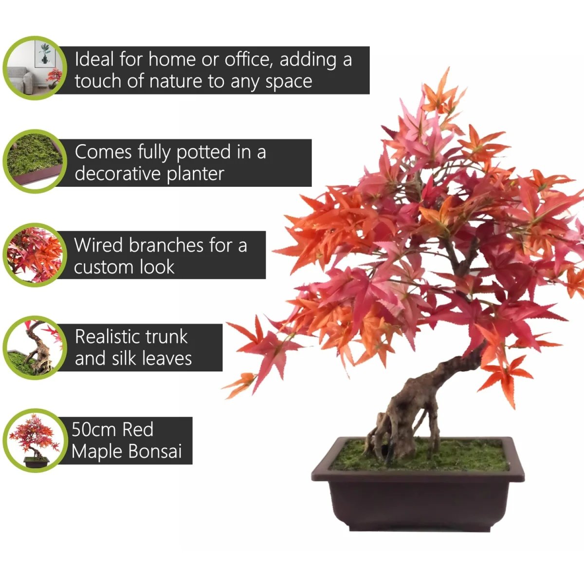 Pegdev 50cm Red Maple Bonsai Tree with Decorative Planter – image 3