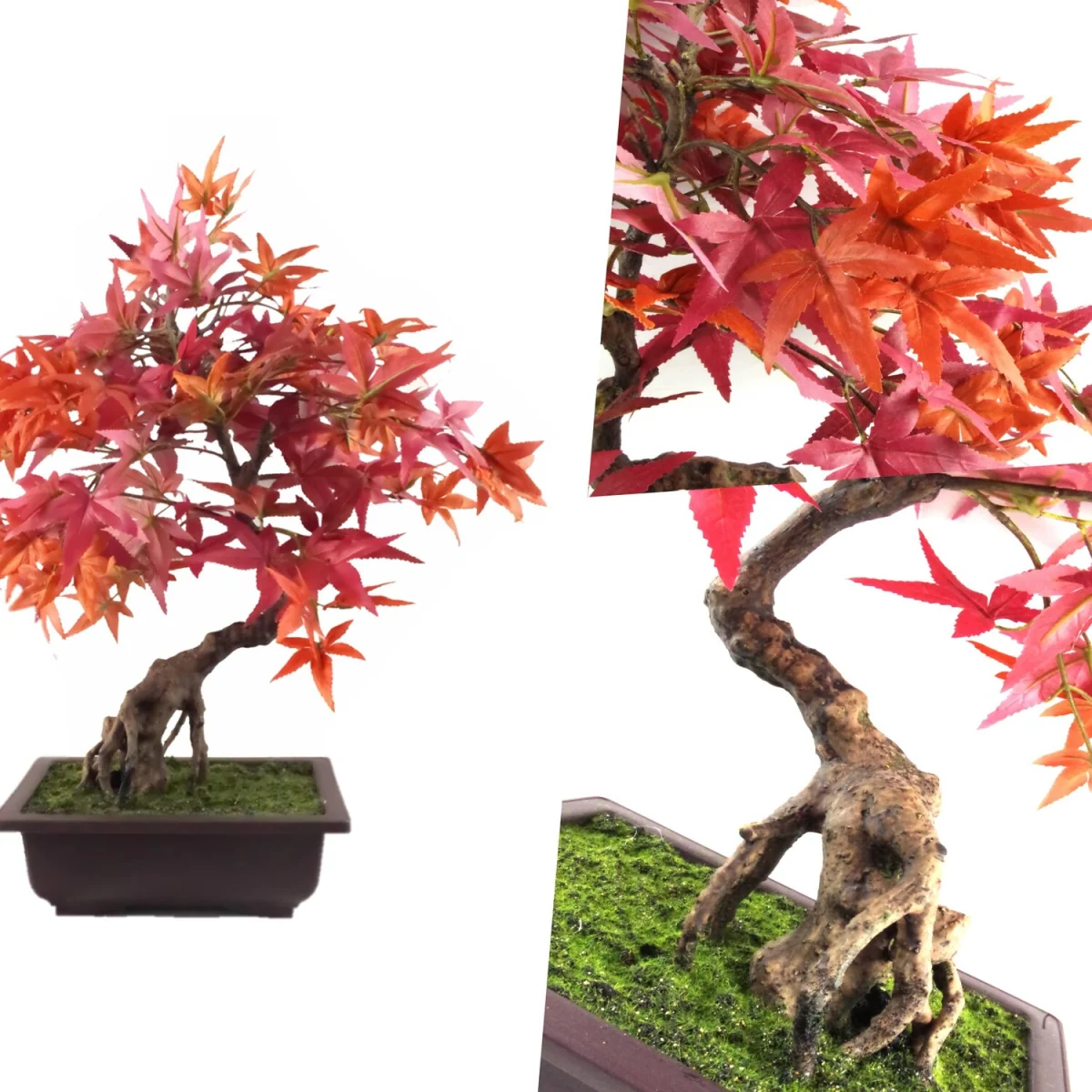 Pegdev 50cm Red Maple Bonsai Tree with Decorative Planter – image 6
