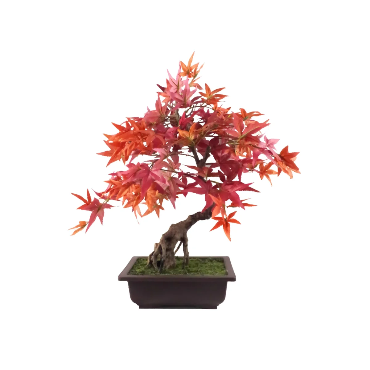 Pegdev 50cm Red Maple Bonsai Tree with Decorative Planter – image 1