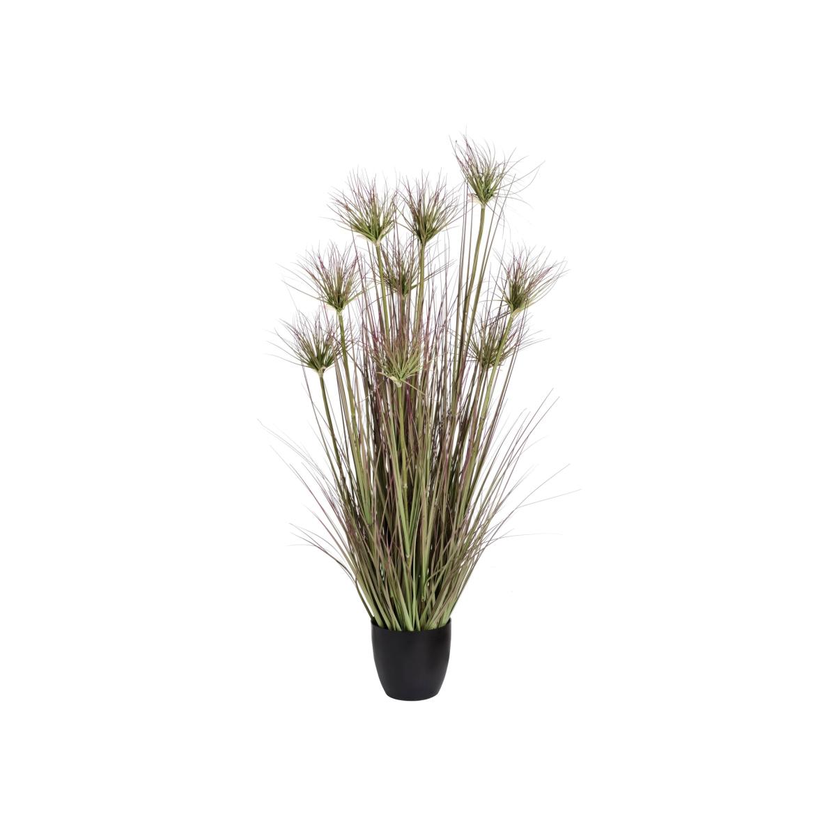 Medium Potted Water Bamboo Grass 48 Inch - Green