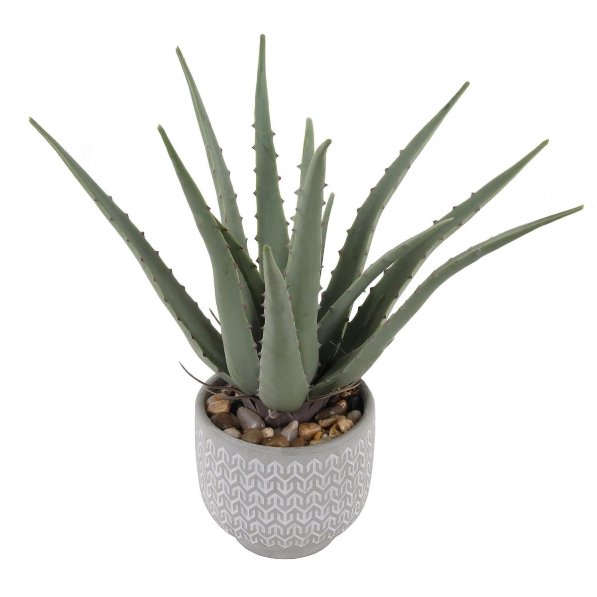 Aloe in Grey Decorative Pot – image 2