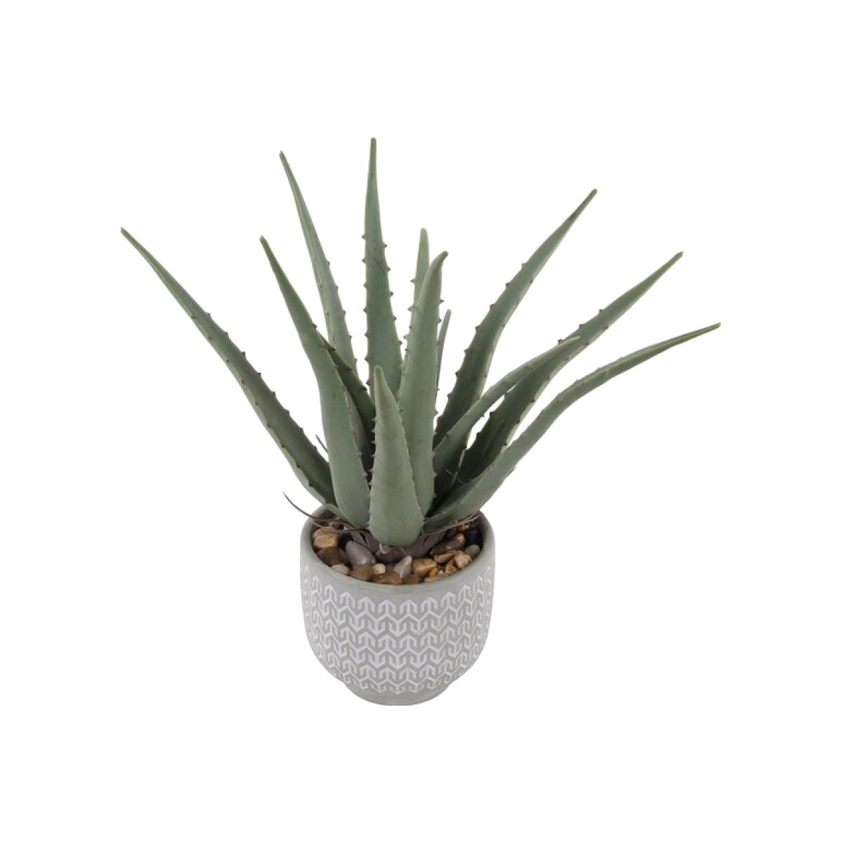Aloe in Grey Decorative Pot – image 1