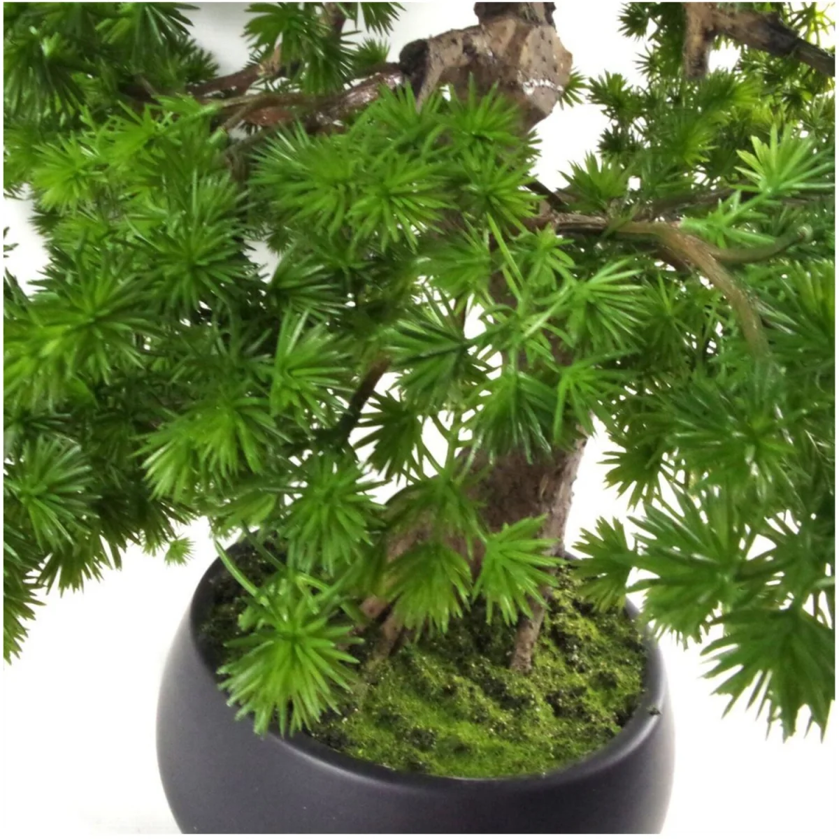 50cm Artificial Luxury Pine Bonsai in Black Ceramic Planter - Green – image 2