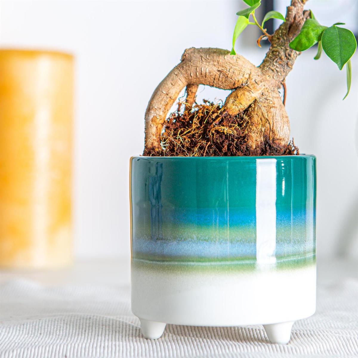 10.5cm Reactive Glaze Footed Plant Pot Pack of 3 - Emerald – image 3