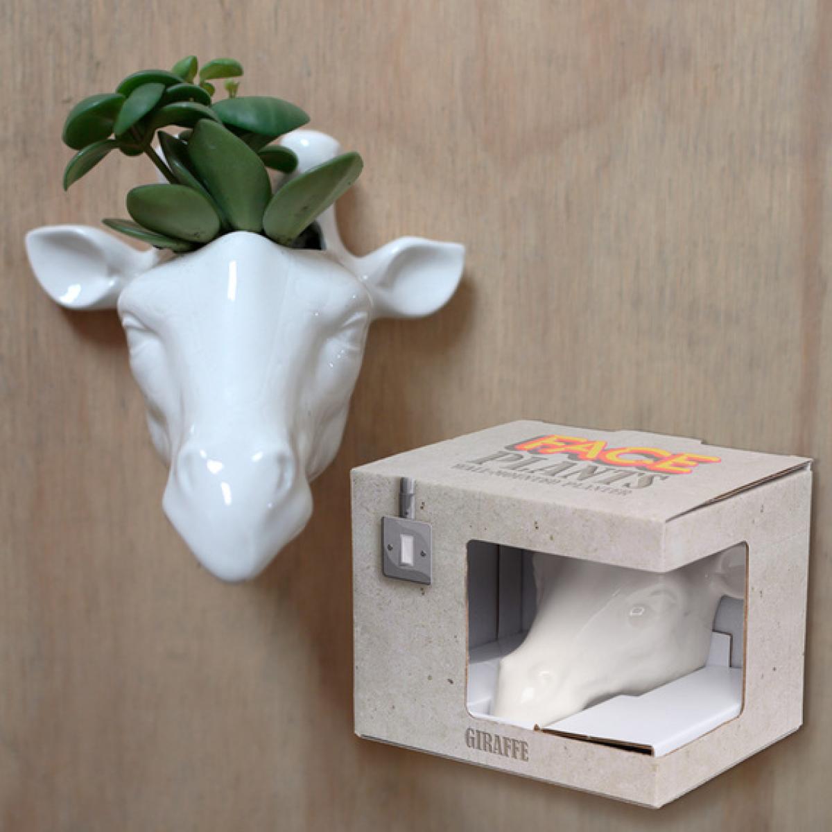 Ceramic Indoor Shaped Wall Planter Plant Pot - Giraffe - White