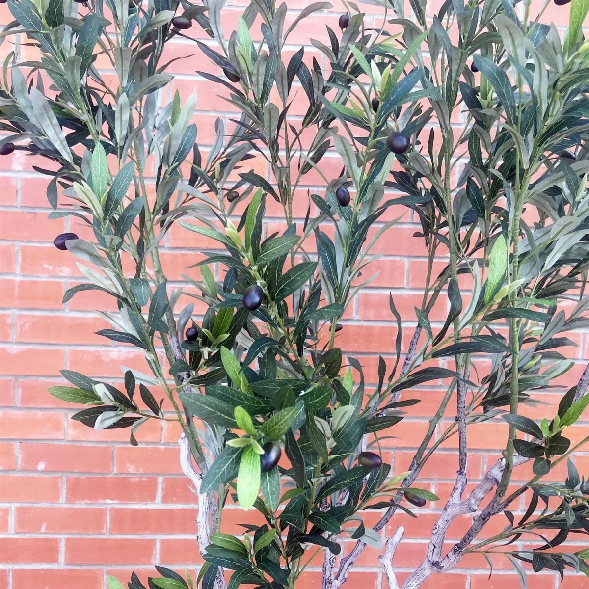 200cm XXL Artificial Olive Tree with Decorative Planter Premium - Green Large Tree – image 5