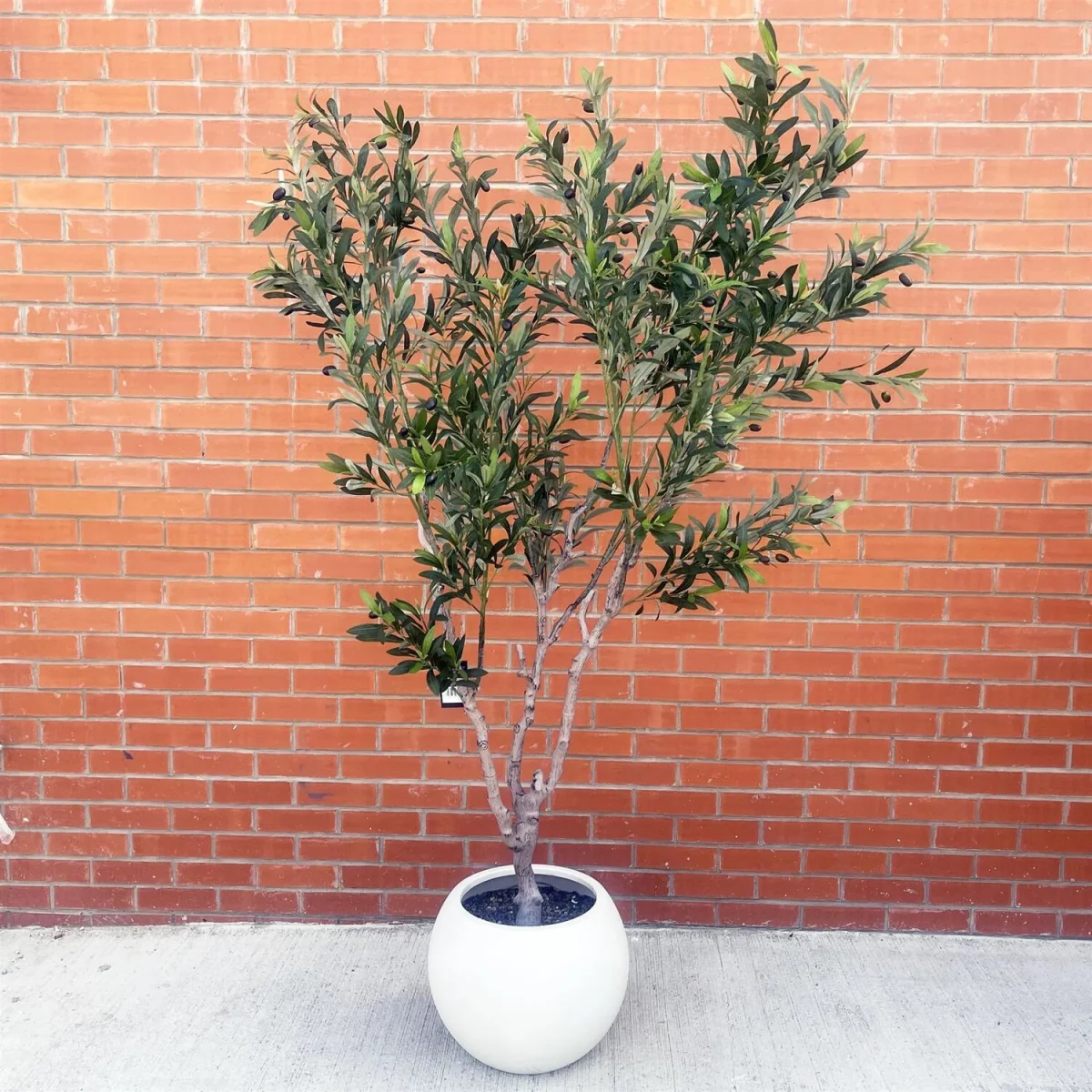 200cm XXL Artificial Olive Tree with Decorative Planter Premium - Green Large Tree – image 7