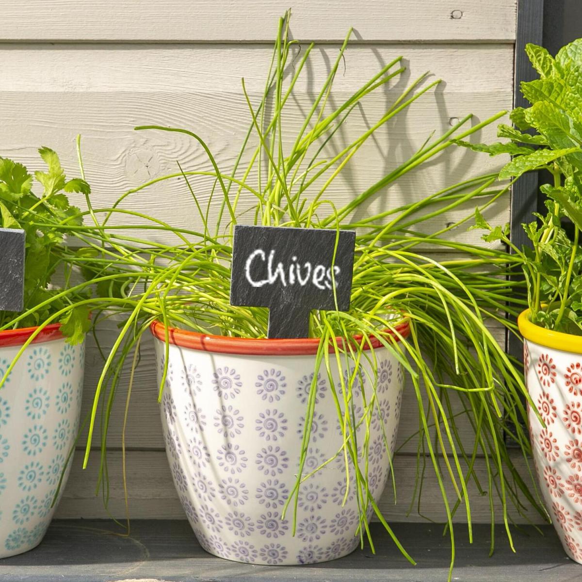 14cm Hand-Printed Plant Pots Multipack - Multi / 2.643kg – image 6