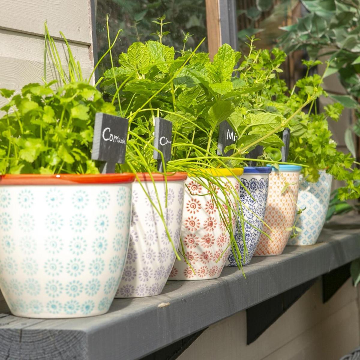 14cm Hand-Printed Plant Pots Multipack - Multi / 2.643kg – image 7