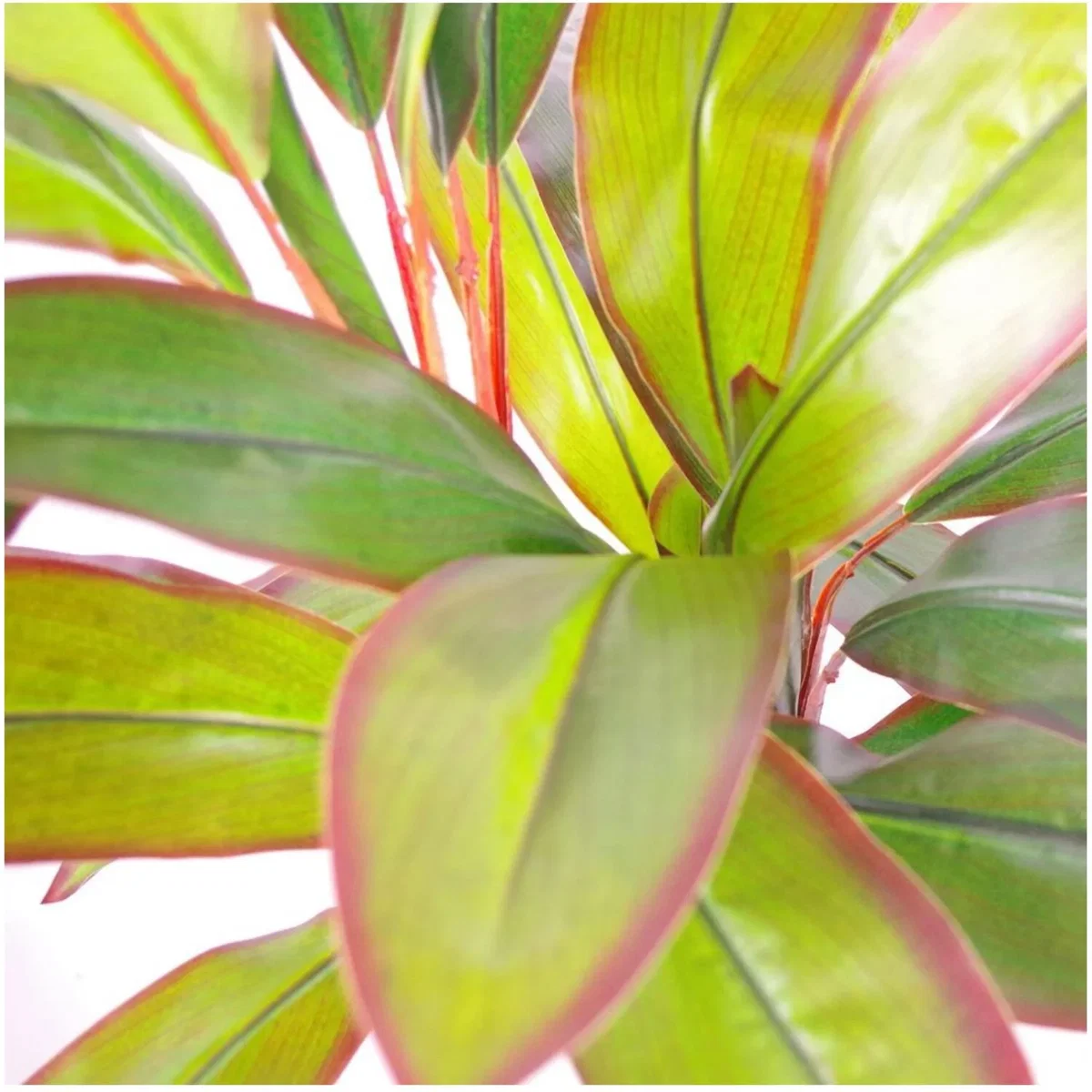 100cm Artificial Dracaena with Metal Planter - Green – image 2
