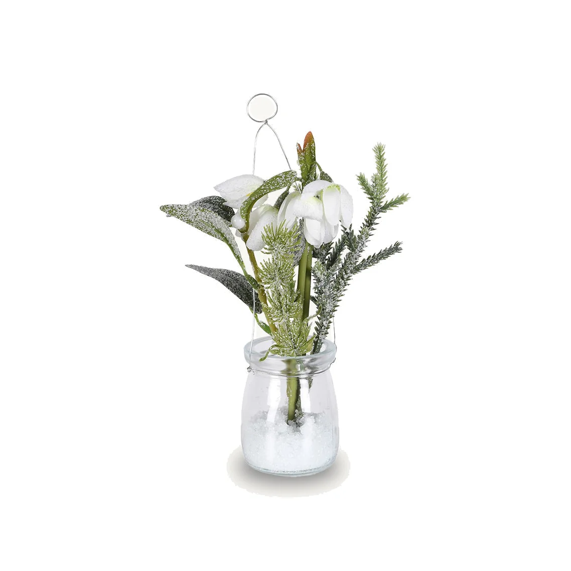 Snowdrop Plant in Glass Pot