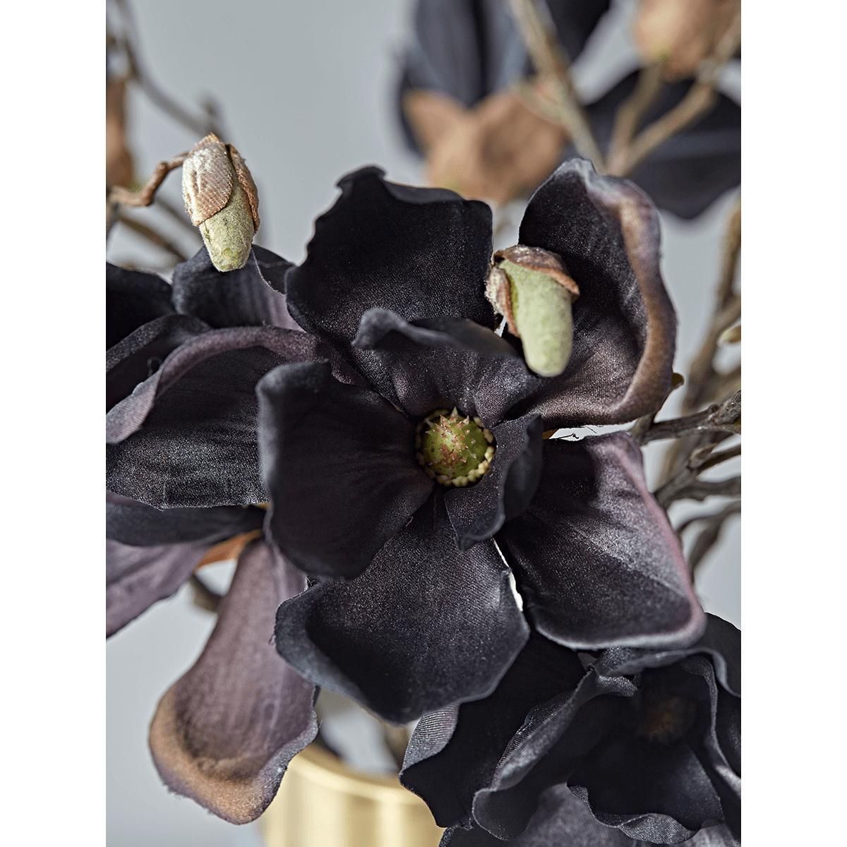 Six Deep Burgundy Magnolia Stems – image 2
