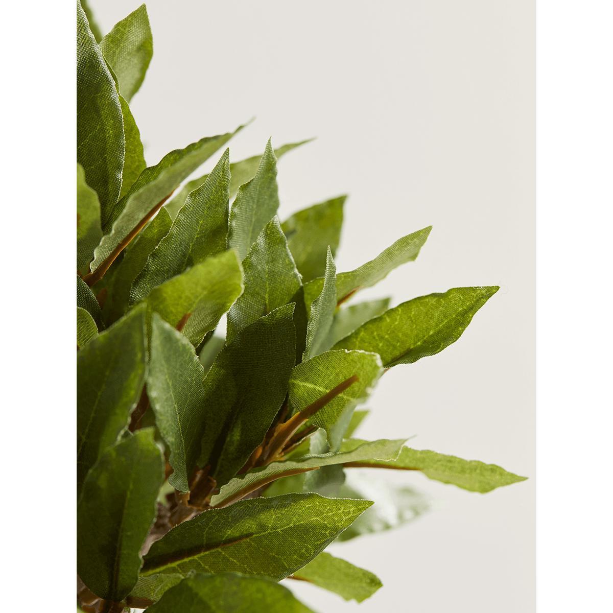 Faux Potted Bay Tree - Small – image 2