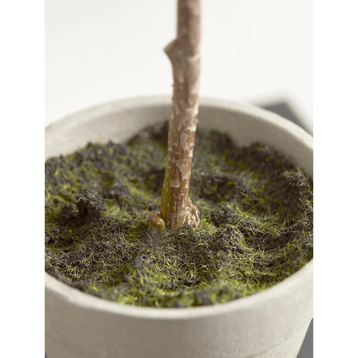 Faux Potted Bay Tree - Small – image 3