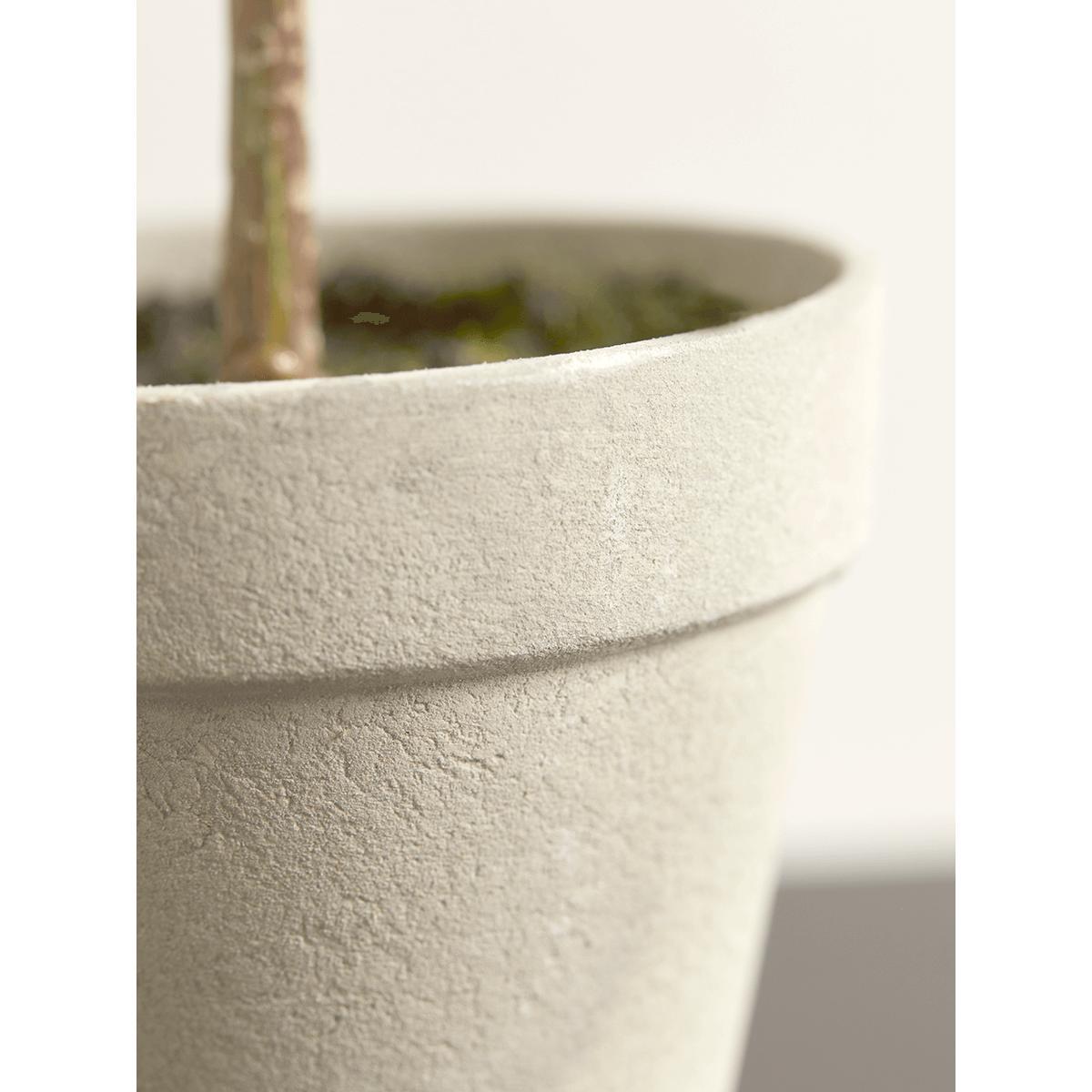Faux Potted Bay Tree - Small – image 4