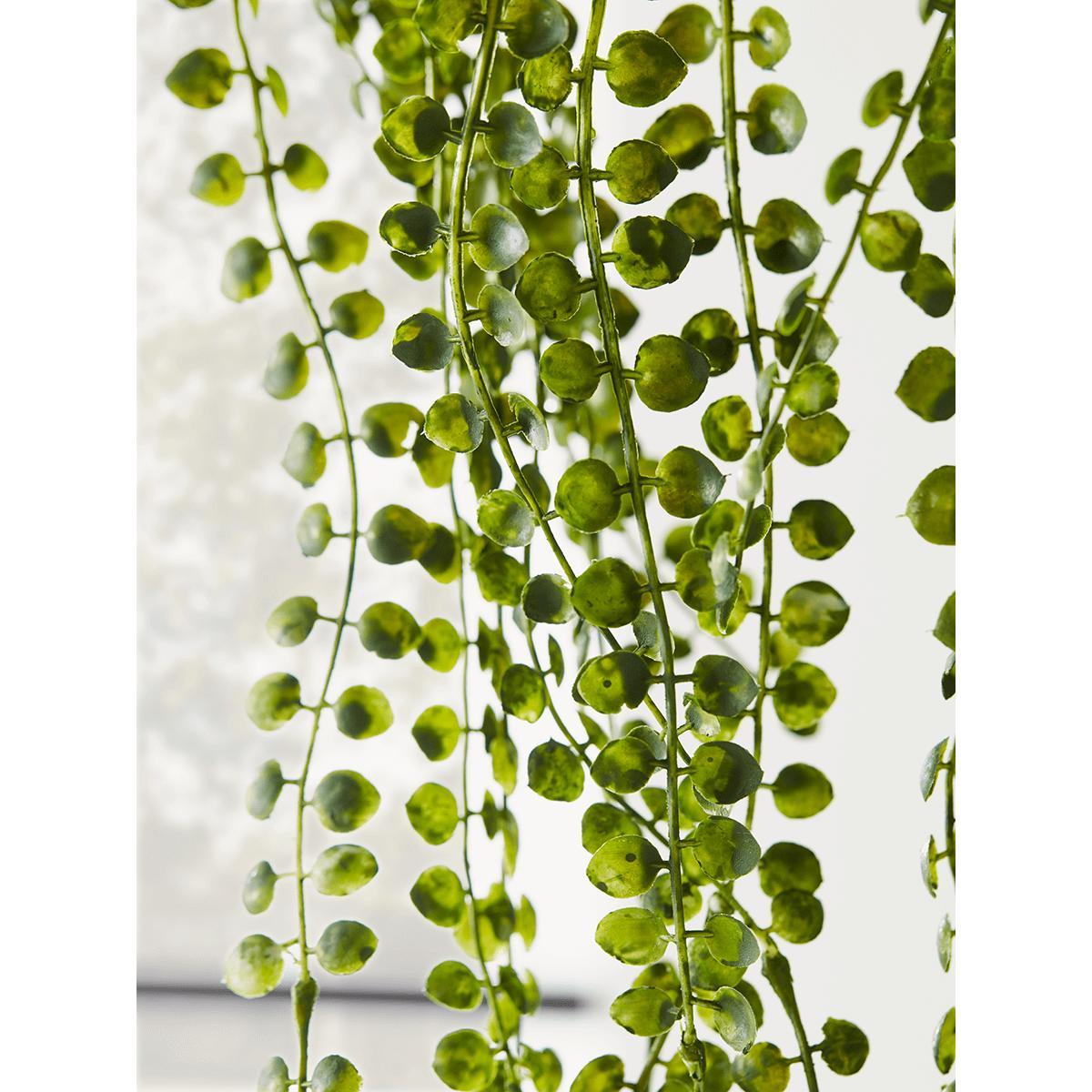 NEW Faux Hanging Senecio – image 2