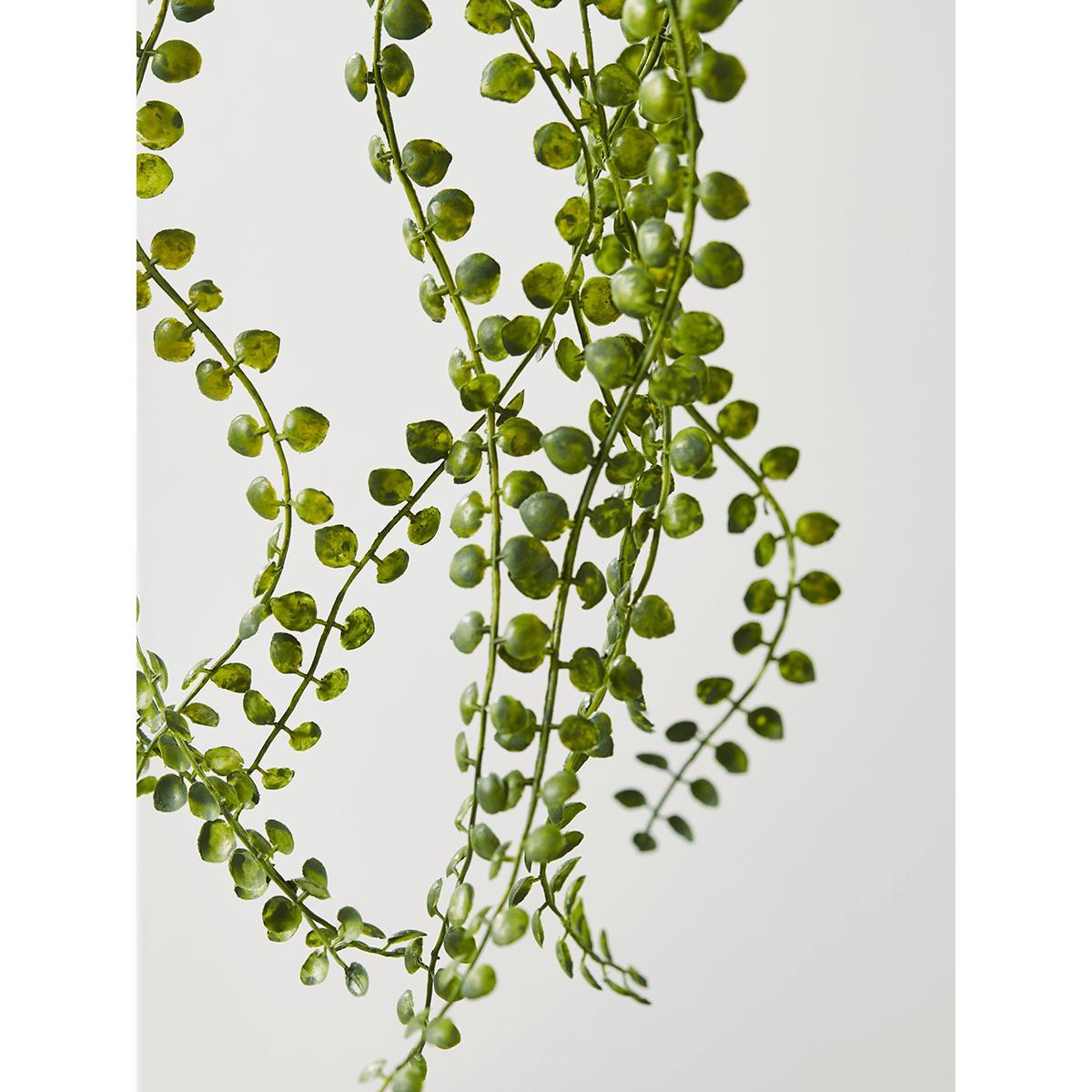 NEW Faux Hanging Senecio – image 4