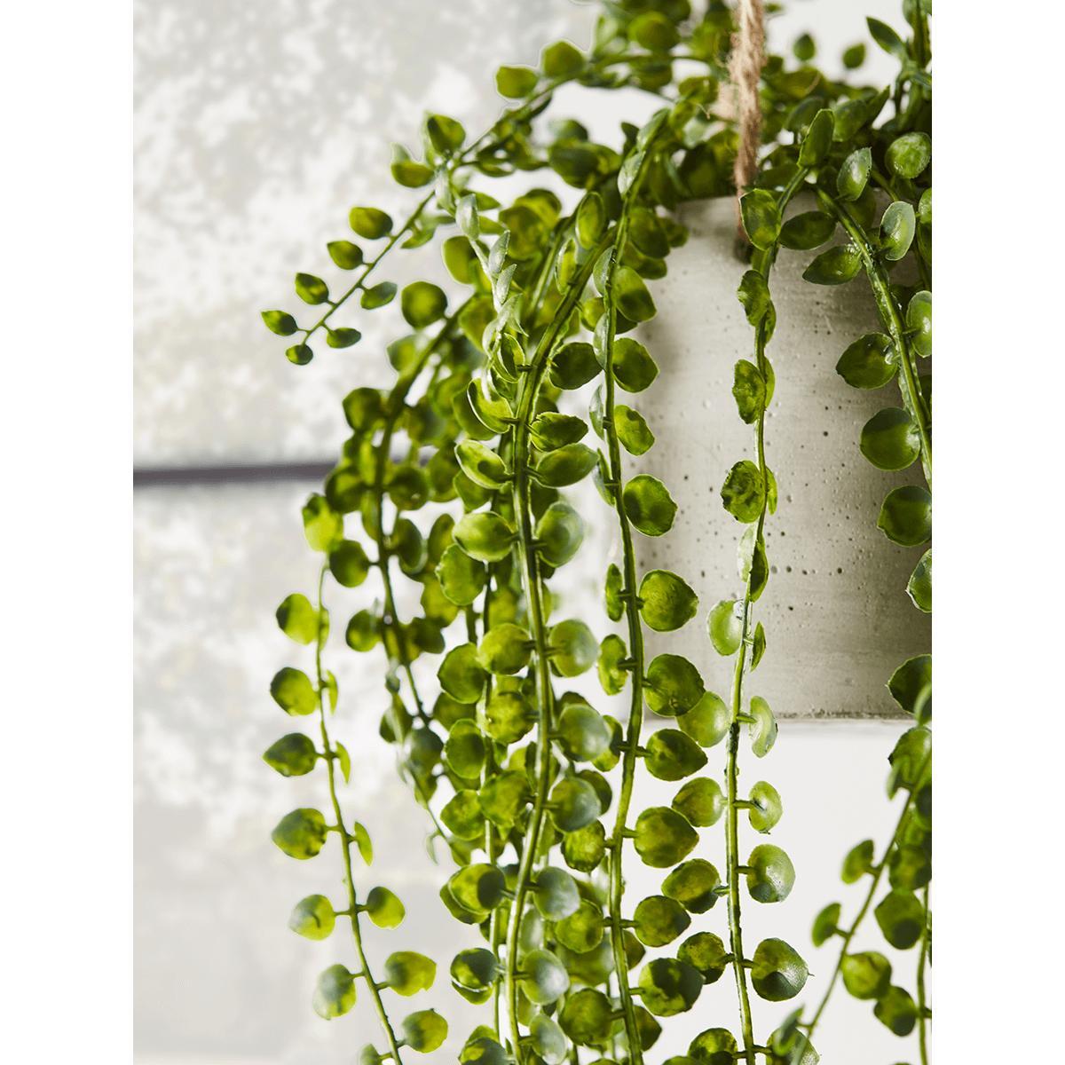 NEW Faux Hanging Senecio – image 5