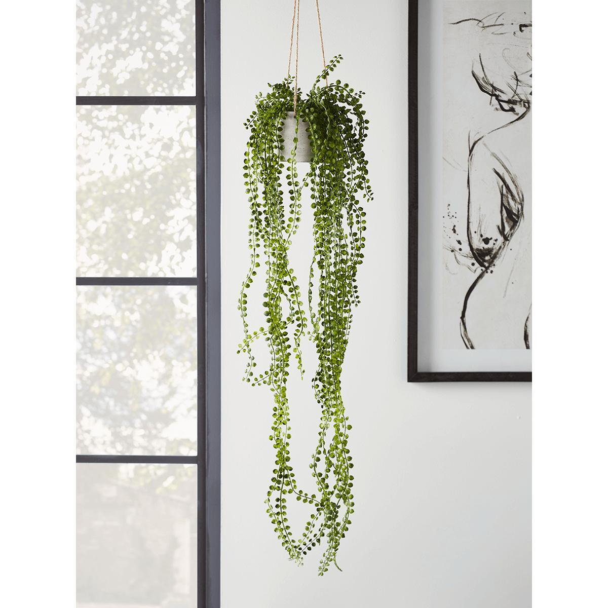 NEW Faux Hanging Senecio – image 1