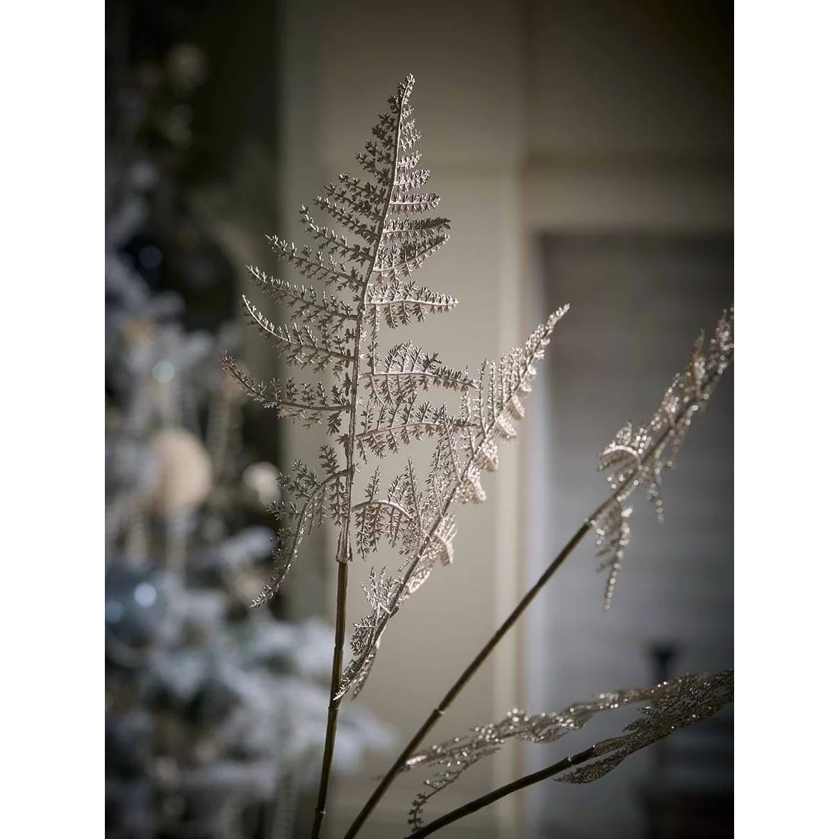Winter Champagne Fern – image 2