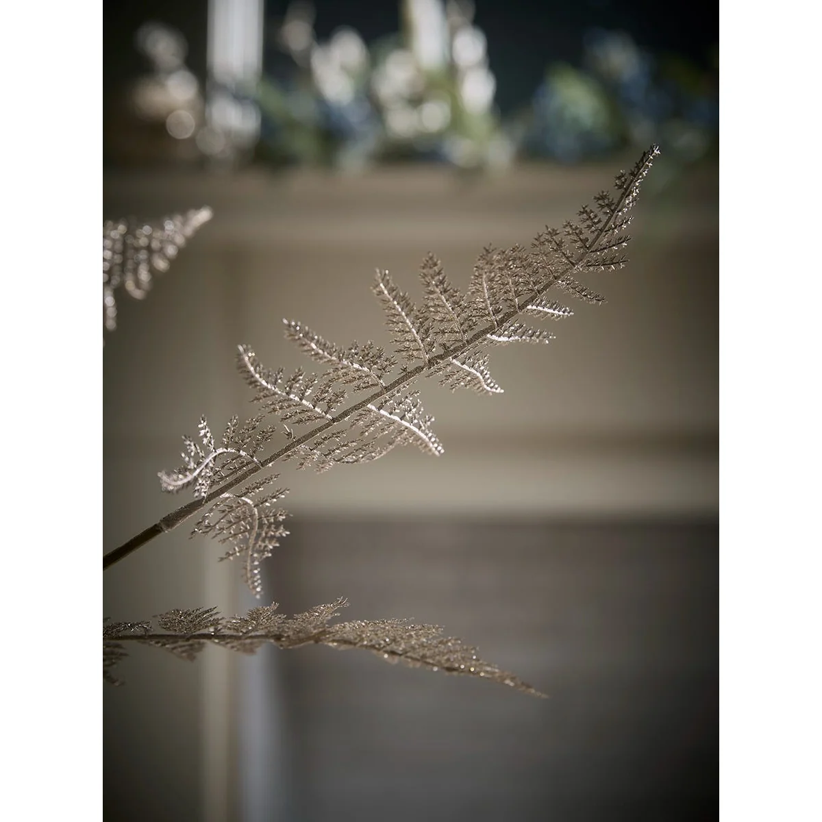 Winter Champagne Fern – image 4