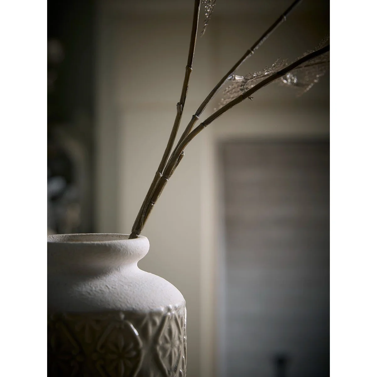 Winter Champagne Fern – image 6