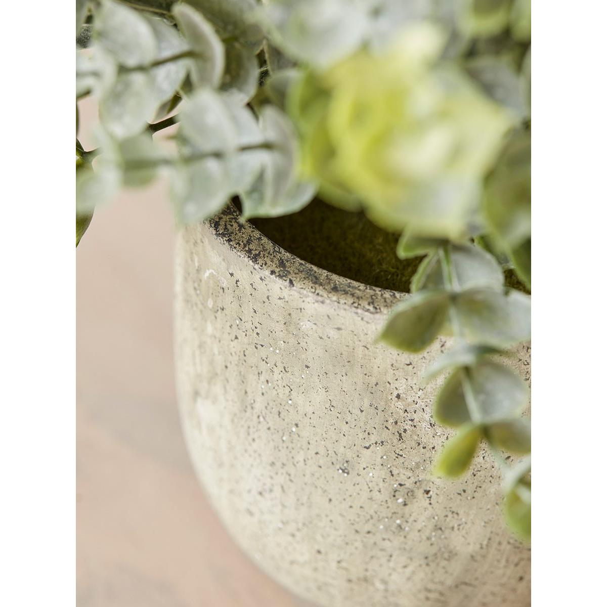 Faux Potted Eucalyptus – image 2