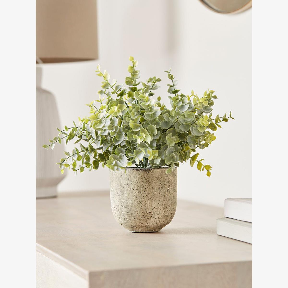 Faux Potted Eucalyptus – image 1