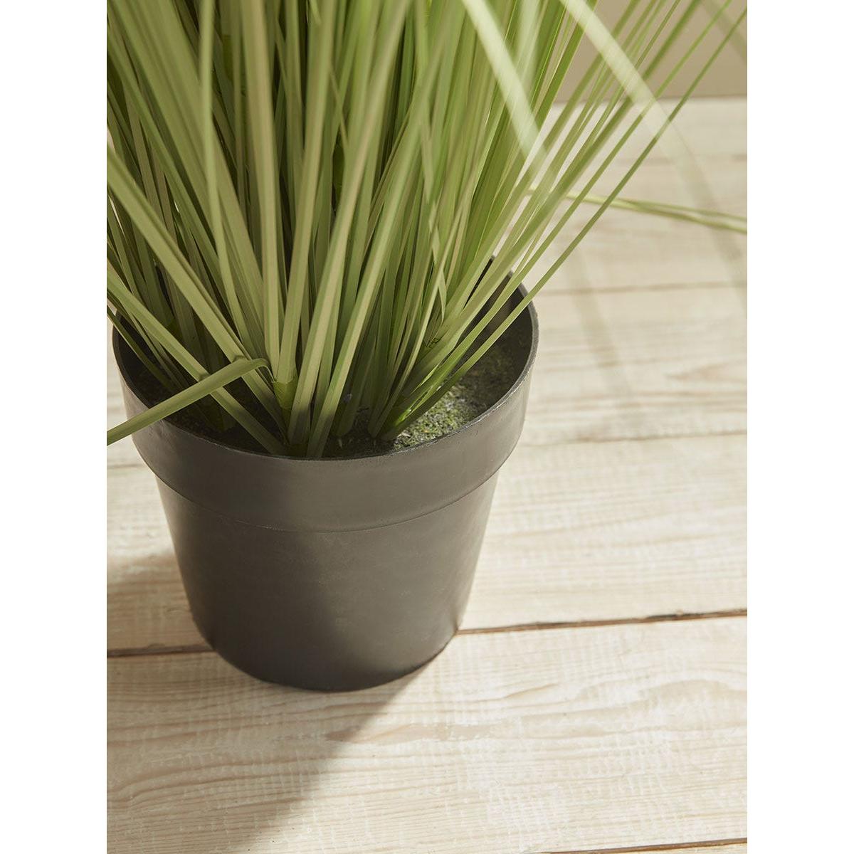 Faux Potted Allium – image 6