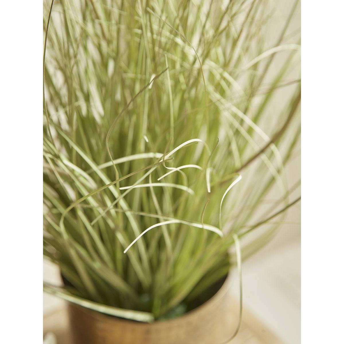 Faux Potted Allium – image 9