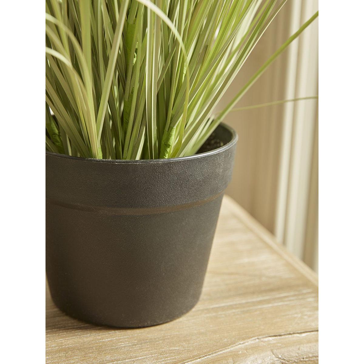 Faux Potted Allium – image 10