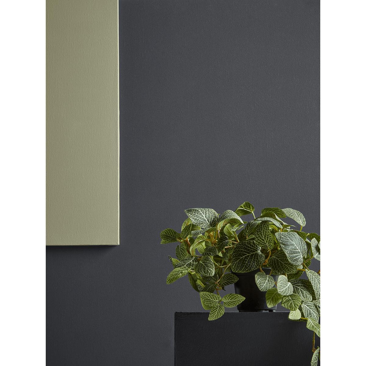 Faux Potted Fittonia – image 2