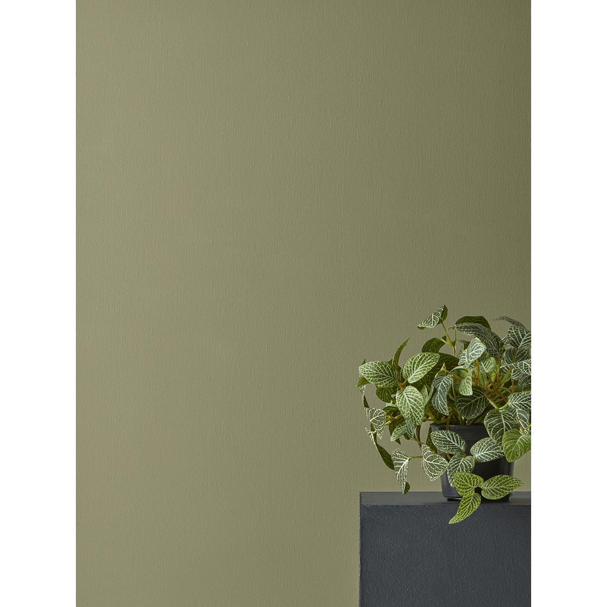 Faux Potted Fittonia – image 3