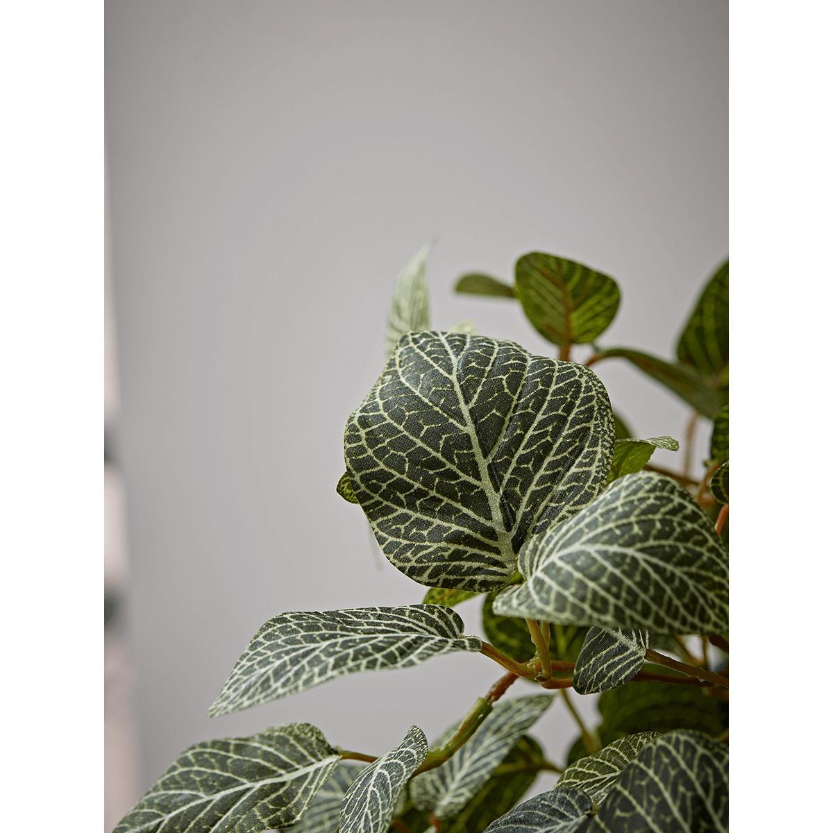 Faux Potted Fittonia – image 6