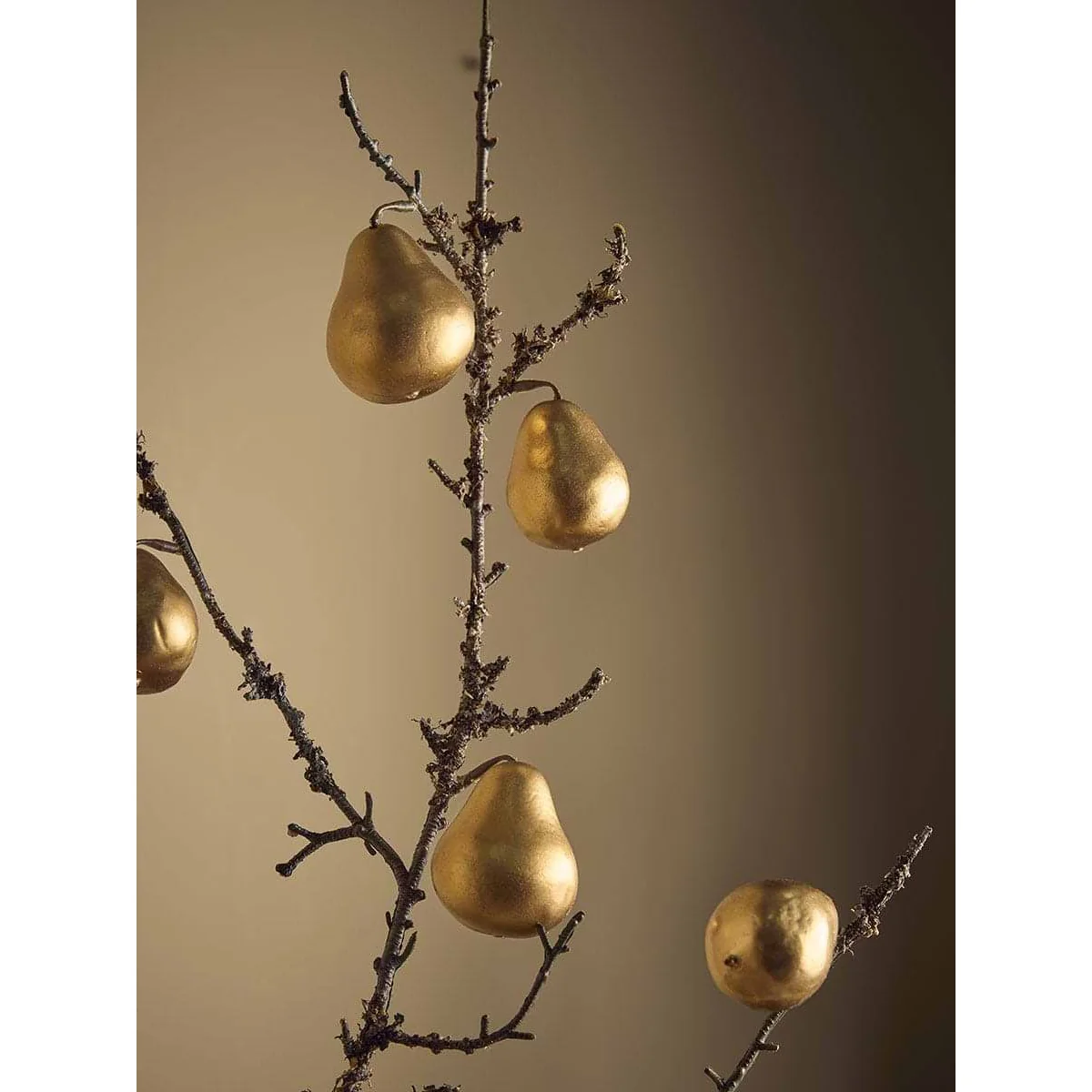 Winter Orchard Pear Stem – image 2