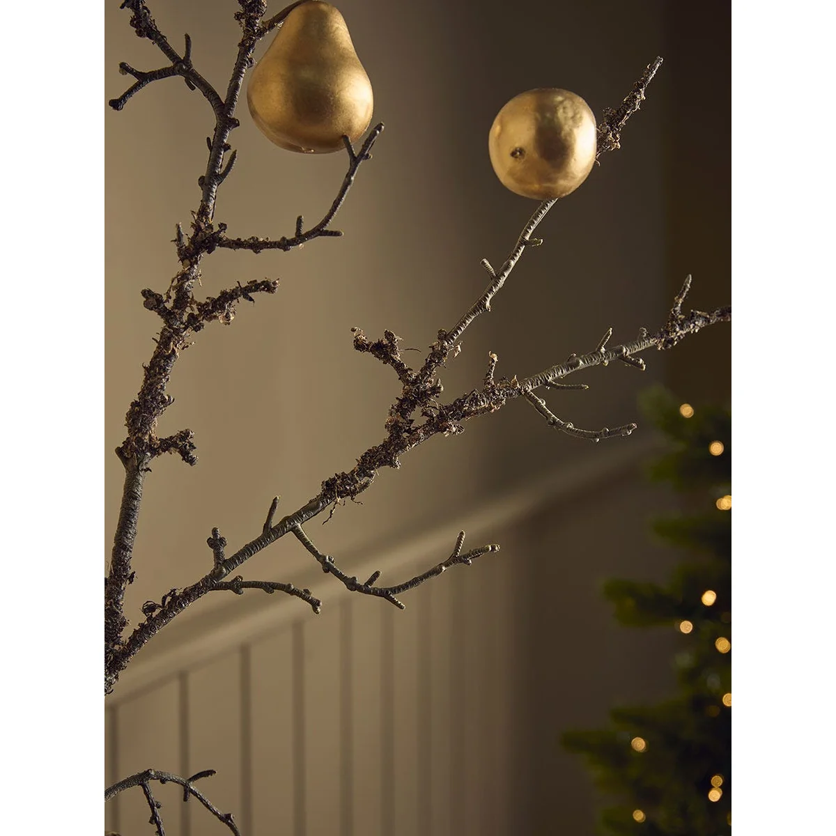 Winter Orchard Pear Stem – image 4