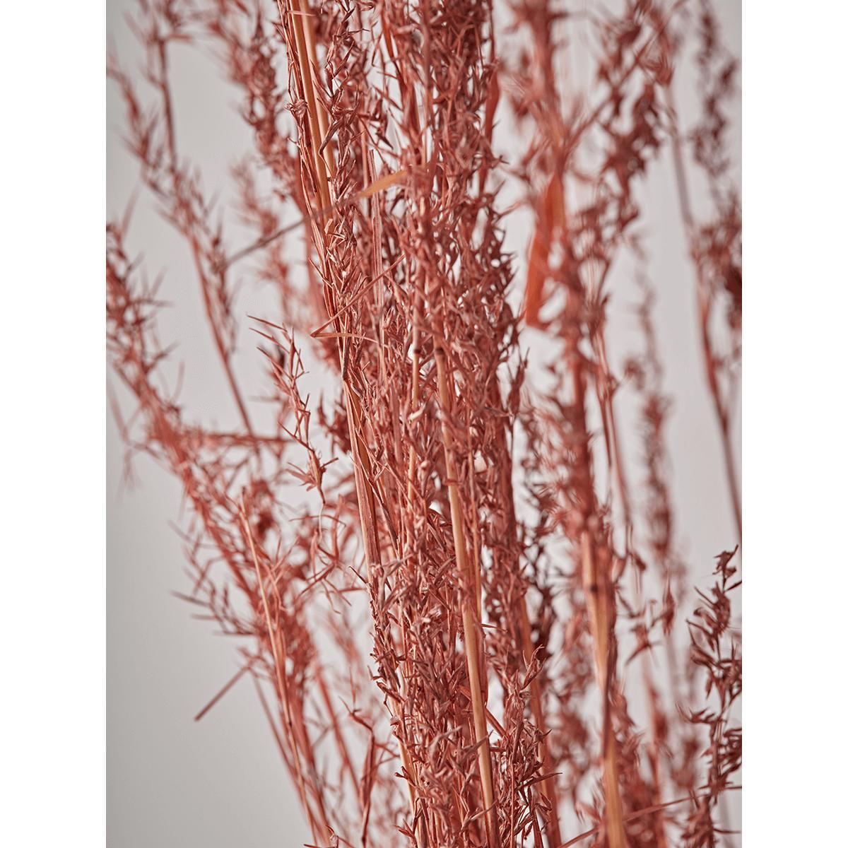NEW Dried Blush Alfonso Grass Bunch – image 2