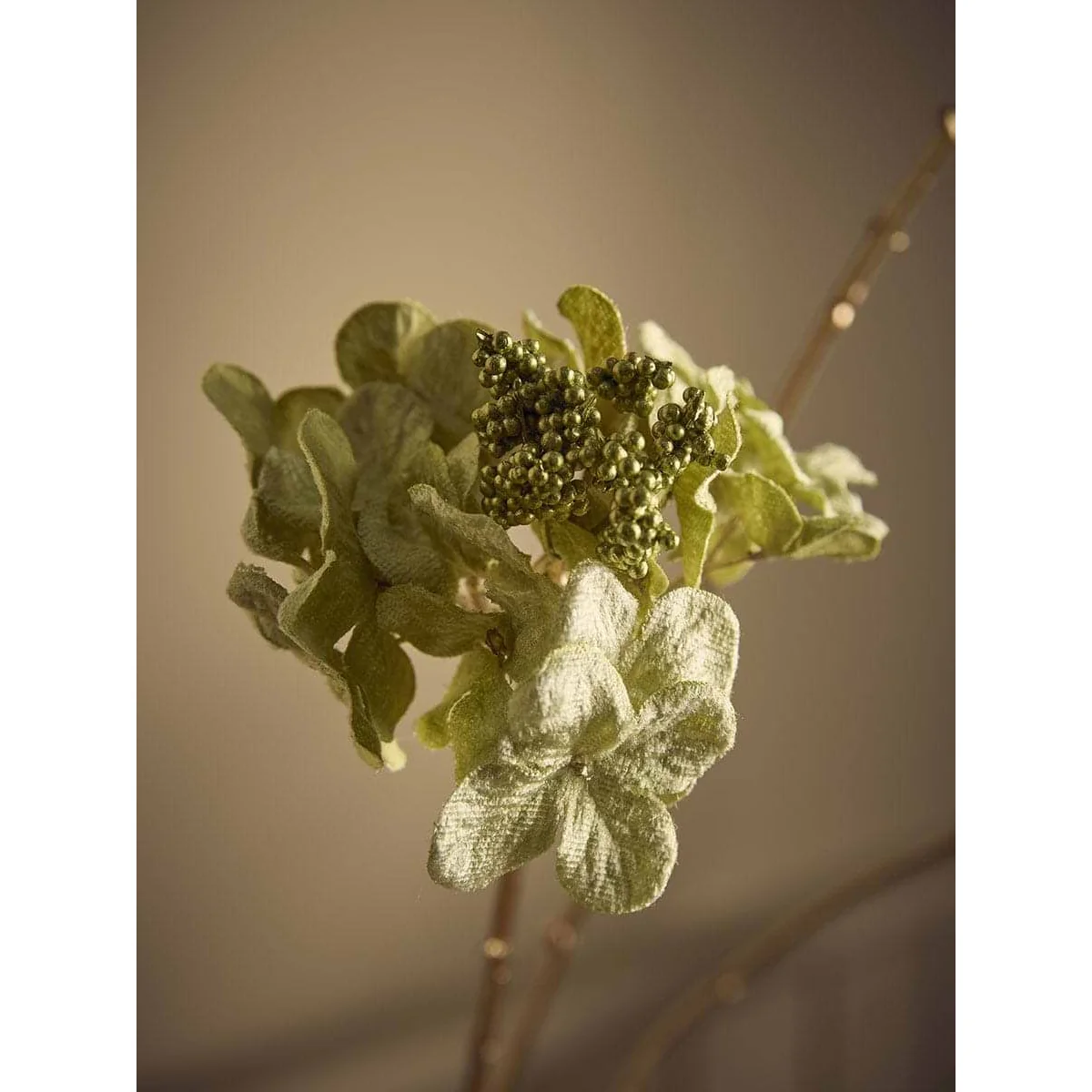 Hydrangea Stem - Green – image 2