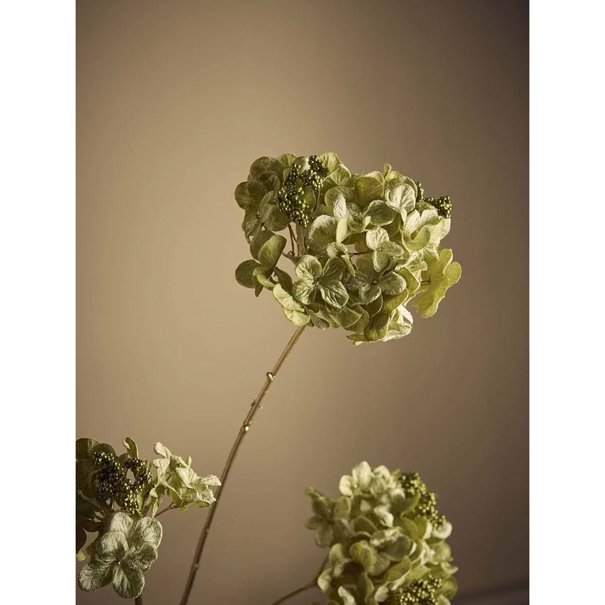 Hydrangea Stem - Green – image 3